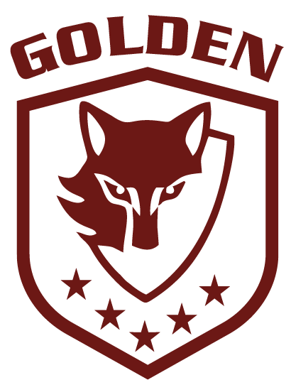 ACADEMIA GOLDEN SECURITY LTDA